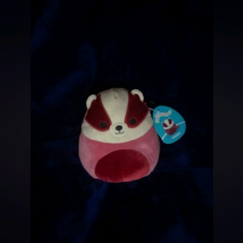 Badger squishmallow